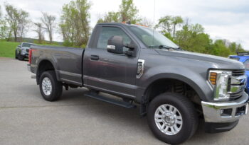 2019 F250 SUPER DUTY XLT 4X4 REG CAB full