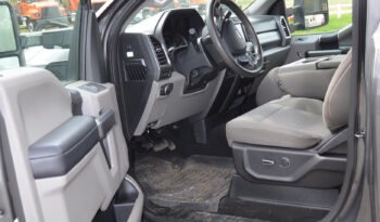 2019 F250 SUPER DUTY XLT 4X4 REG CAB full