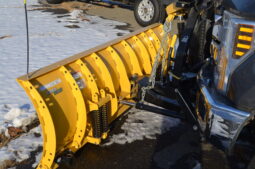 2019 F250 SUPER DUTY XLT 4X4 REG CAB full