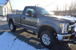 2019 F250 SUPER DUTY XLT 4X4 REG CAB full